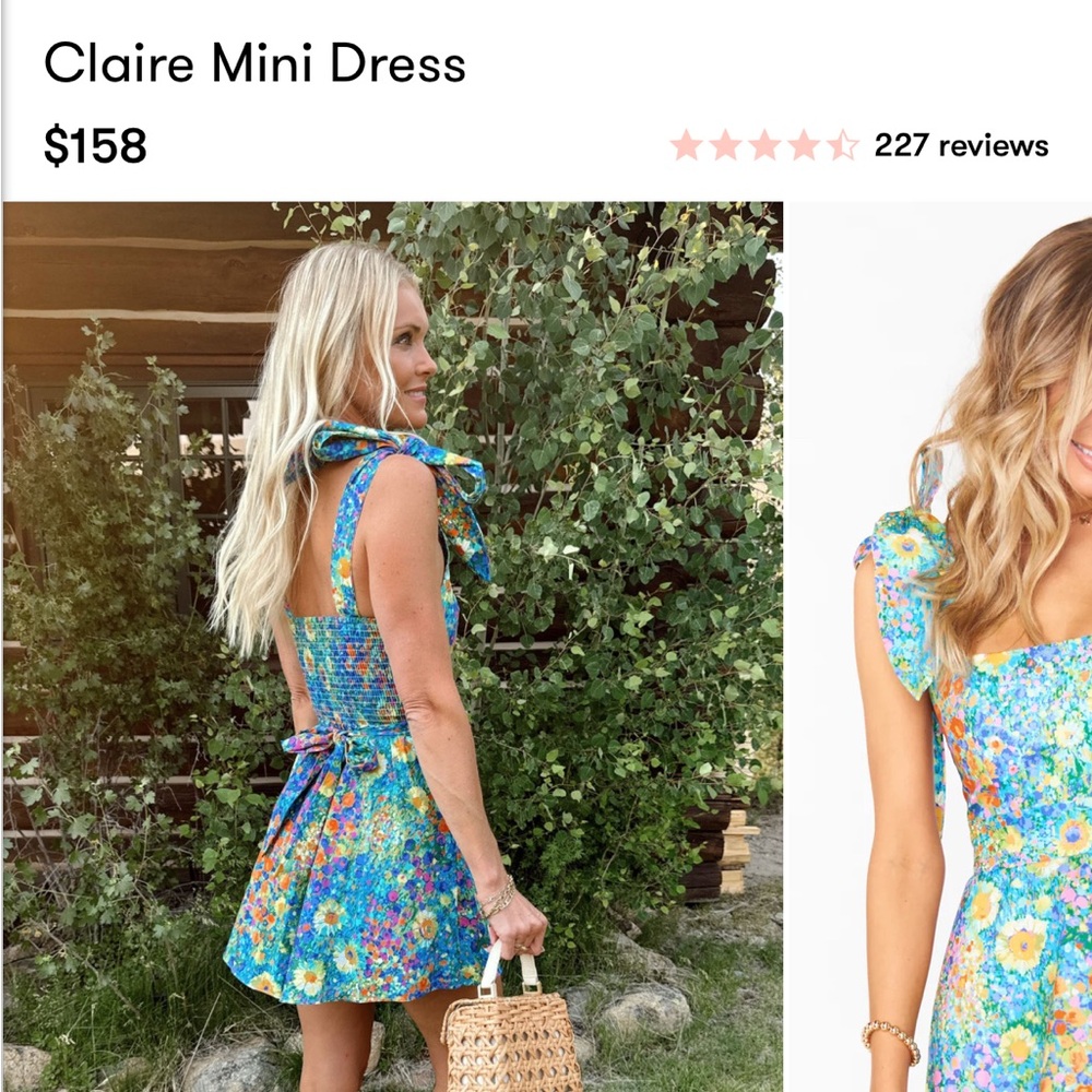 Show Me Your MuMu Claire Mini Dress - Blue Floral size S